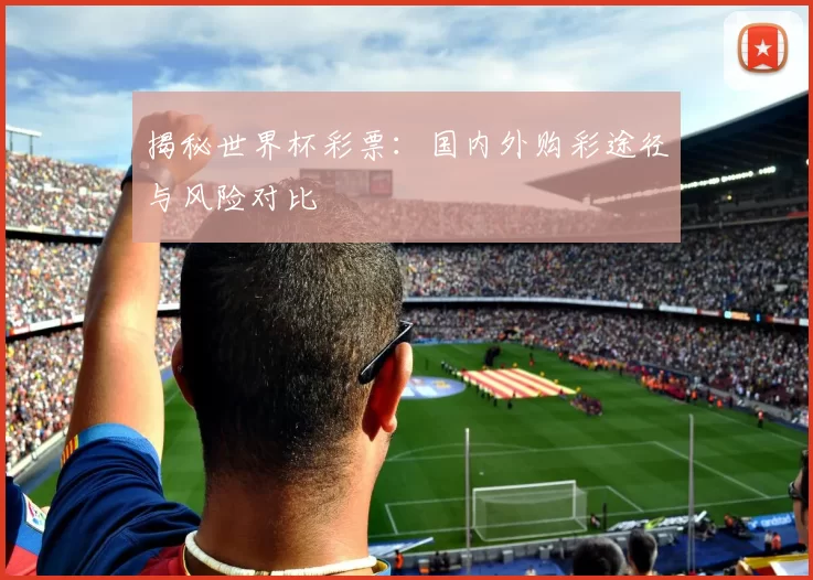 揭秘世界杯彩票：国内外购彩途径与风险对比