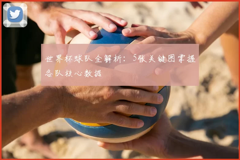 世界杯球队全解析:5张关键图掌握各队核心数据
