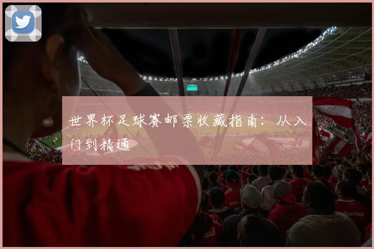 世界杯足球赛邮票收藏指南：从入门到精通
