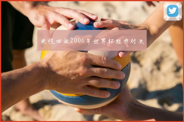 央视回放2006年世界杯经典对决