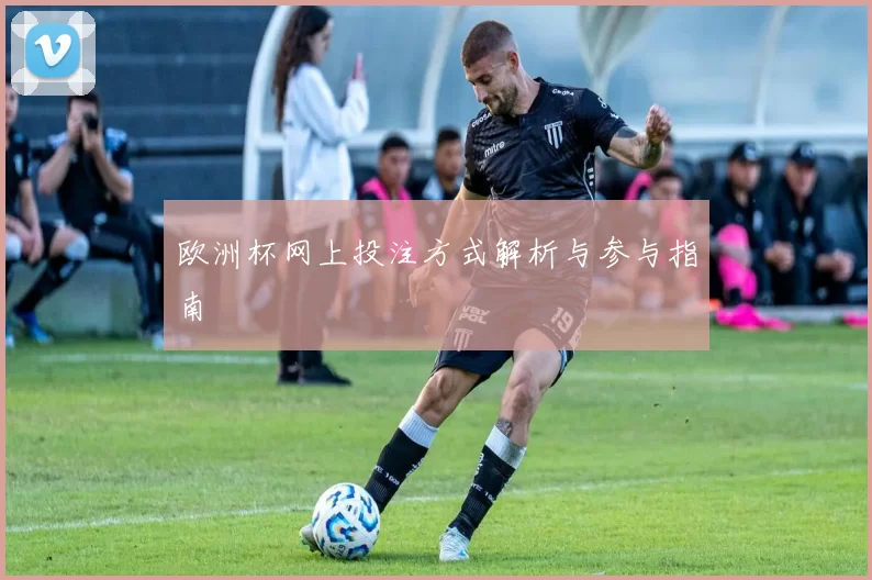 欧洲杯网上投注方式解析与参与指南