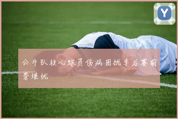 公牛队核心球员伤病困扰季后赛前景堪忧