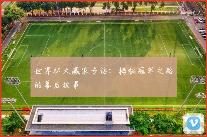 世界杯大赢家专访:揭秘冠军之路的幕后故事