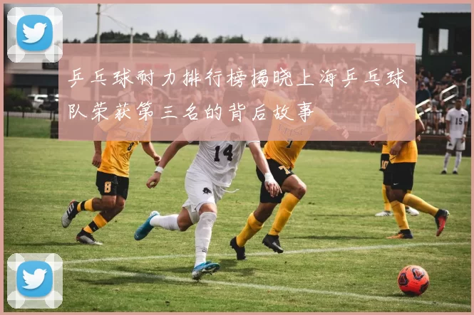 乒乓球耐力排行榜揭晓上海乒乓球队荣获第三名的背后故事