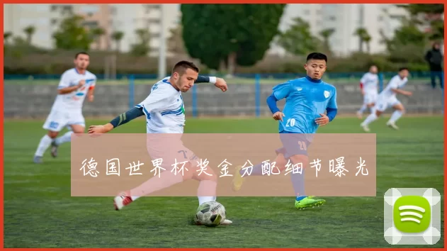 德国世界杯奖金分配细节曝光