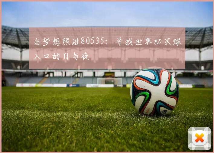 当梦想照进80535:寻找世界杯买球入口的日与夜