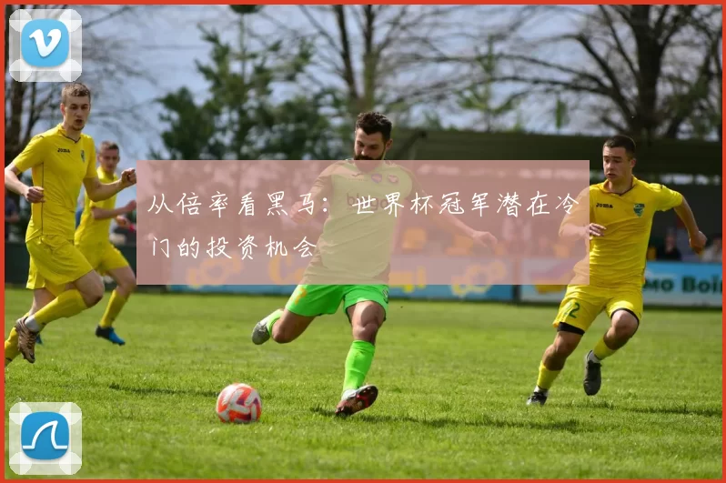 从倍率看黑马:世界杯冠军潜在冷门的投资机会