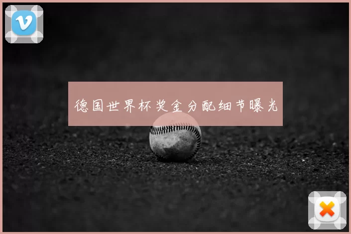 德国世界杯奖金分配细节曝光