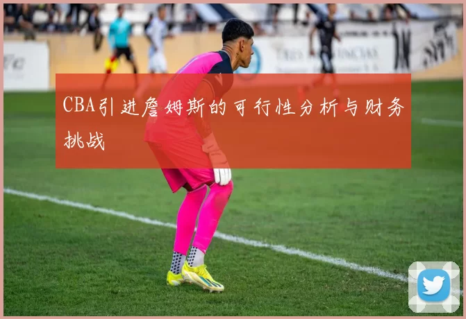CBA引进詹姆斯的可行性分析与财务挑战