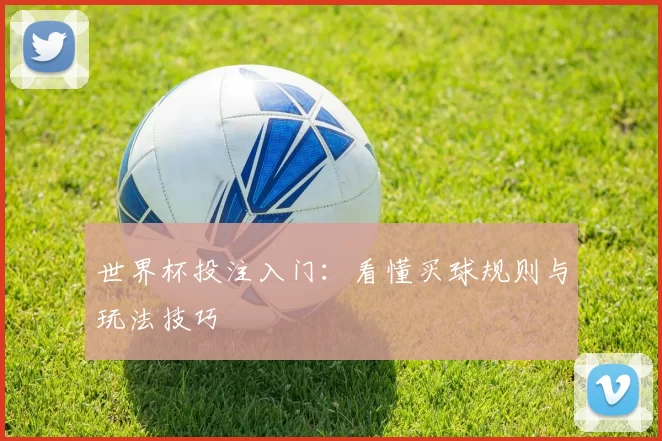 世界杯投注入门:看懂买球规则与玩法技巧