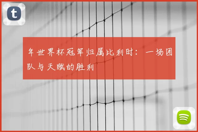 年世界杯冠军归属比利时：一场团队与天赋的胜利