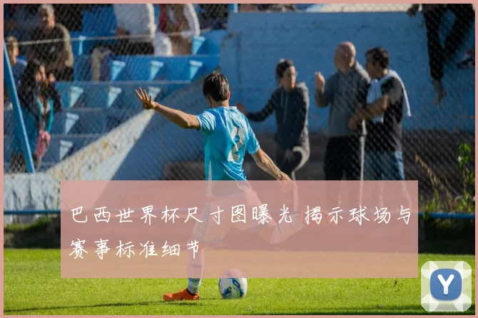 巴西世界杯尺寸图曝光 揭示球场与赛事标准细节