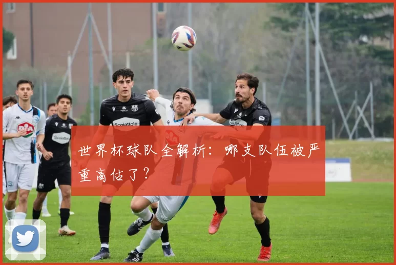 世界杯球队全解析:哪支队伍被严重高估了?